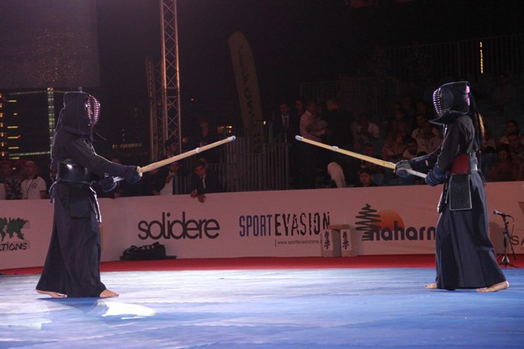 Martial Arts Festival